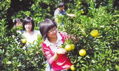 江西安远发展生态果园