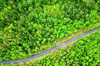 生态经济助力“中国林都”转型发展