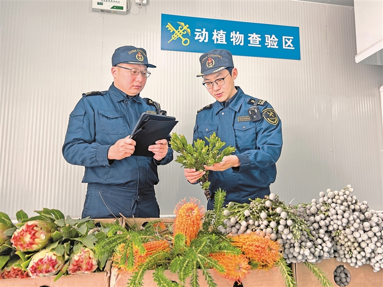 让世界共享中国大市场的机遇