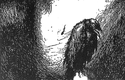 《乌鸦》 爱伦·坡(美) 插图:迪拉克