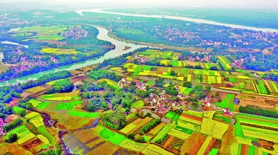 江西泰和县积极发展“美丽经济”助力油菜增收