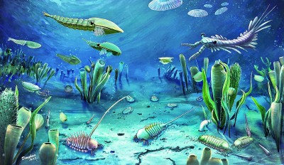 科学家发现5亿年前临沂动物群